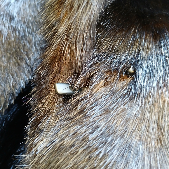 Zara faux fur mink black brown jacket/ coat - Picture 8 of 8